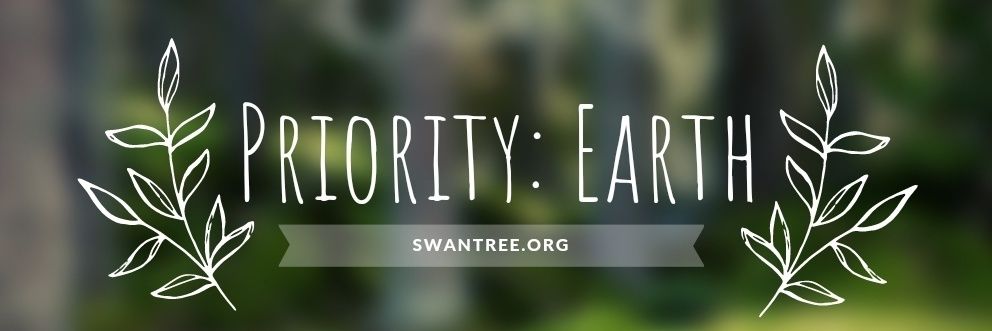 TheSwantree's profile banner image