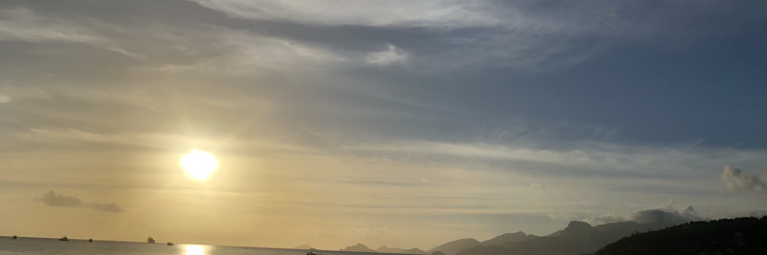 #WhereIsTimbo 🤔 banner