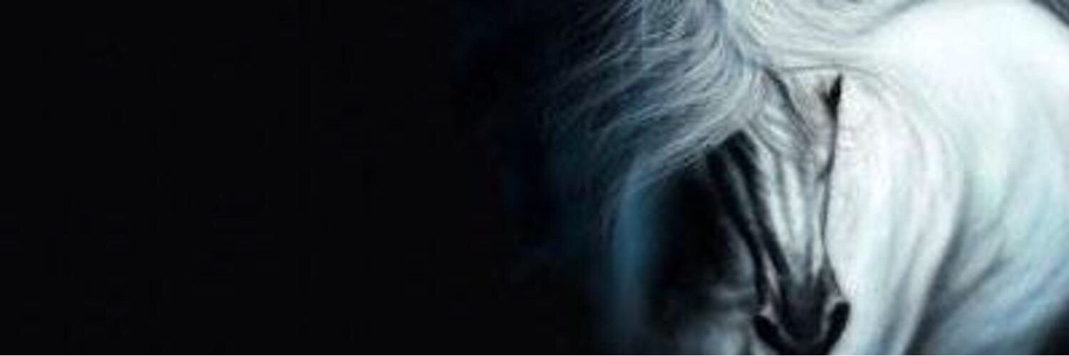 hih09090's profile banner image