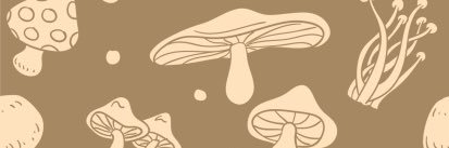 AskewAdelaide's profile banner image