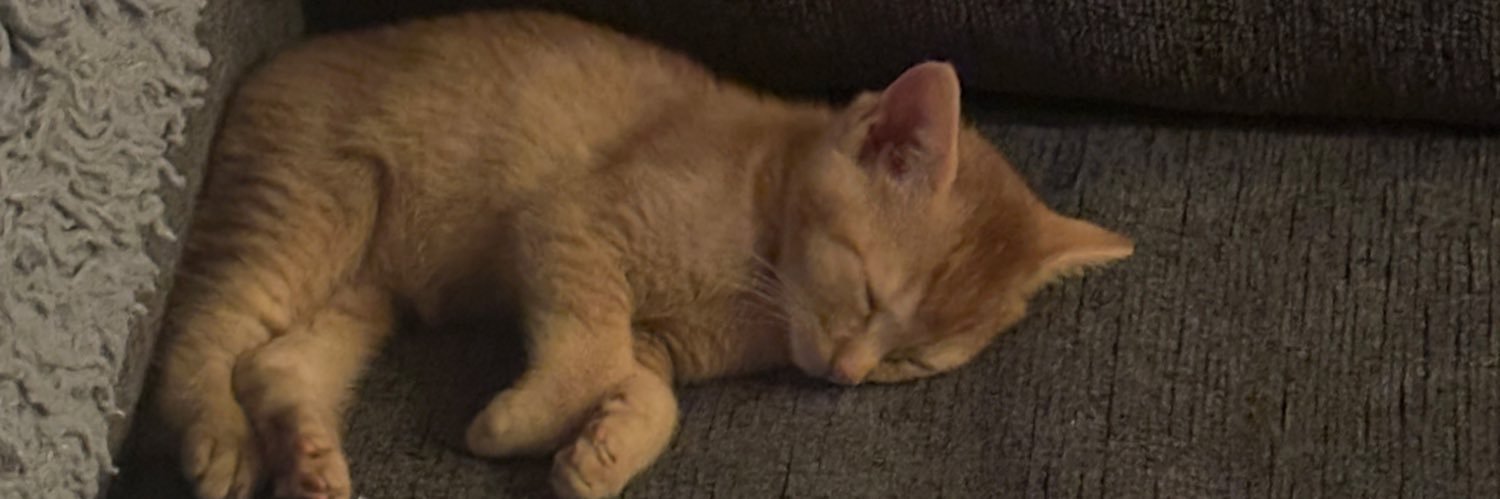 eemaleee's profile banner image