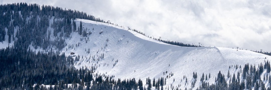 HLinsight's profile banner image