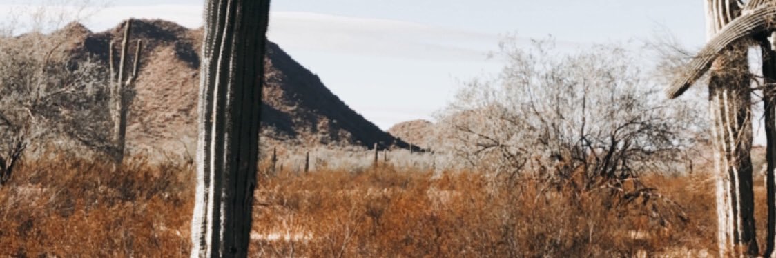 Kennedy Knight banner