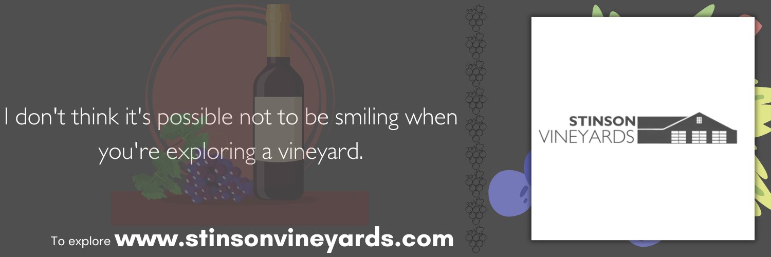 stinsonvineyard's profile banner image