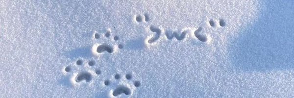 bxdw0lf_ Profile Banner