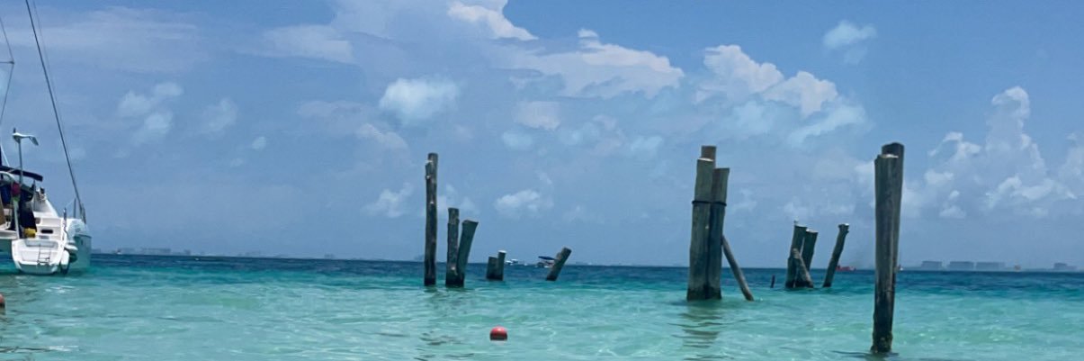 michellefarhall's profile banner image