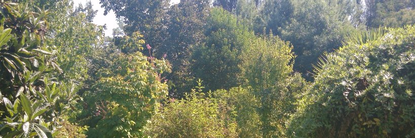 fredui's profile banner image