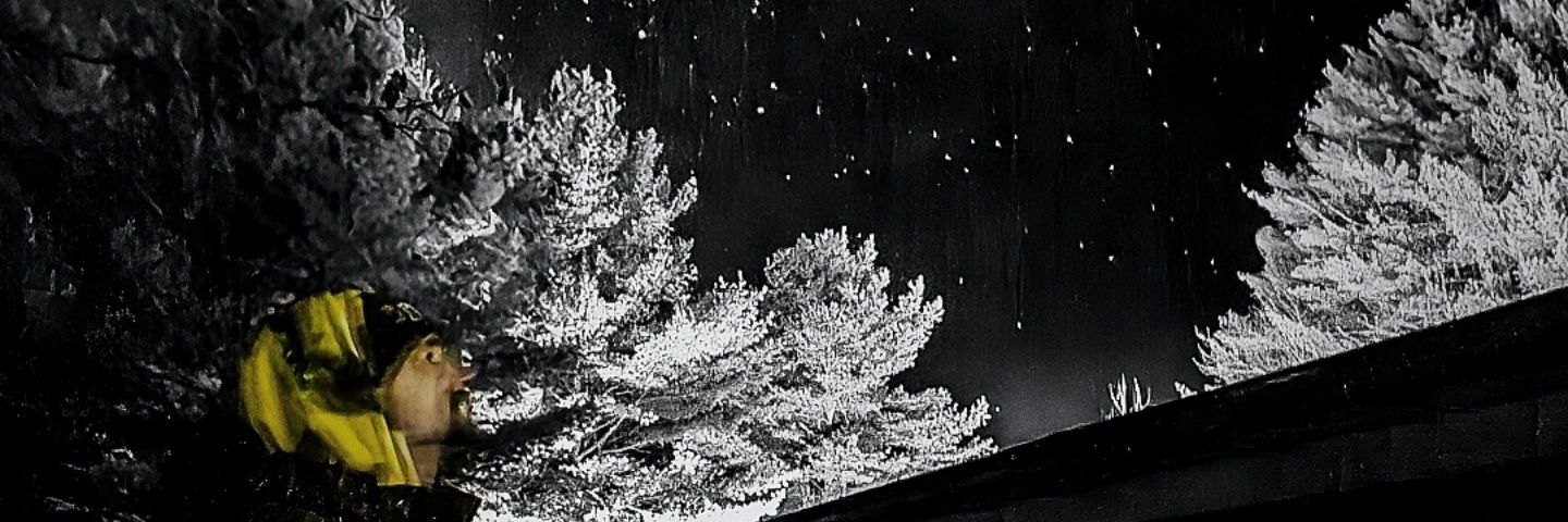 Lin banner
