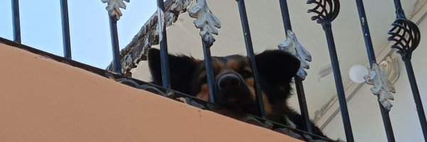 ki_pp_25 Profile Banner