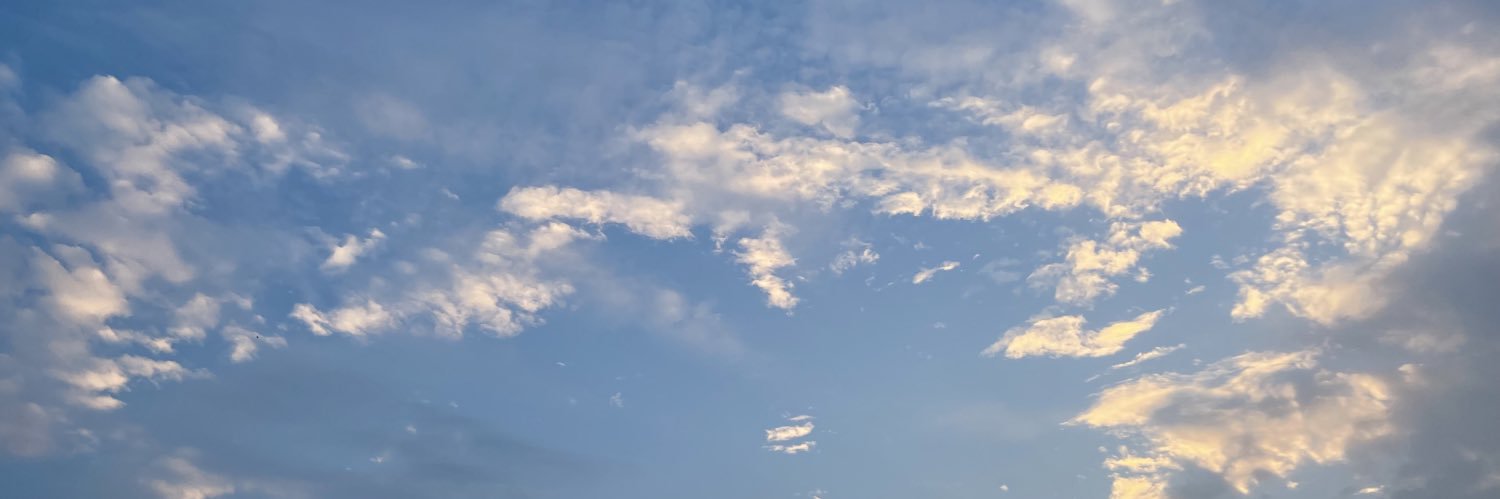 ClaireSHz's profile banner image