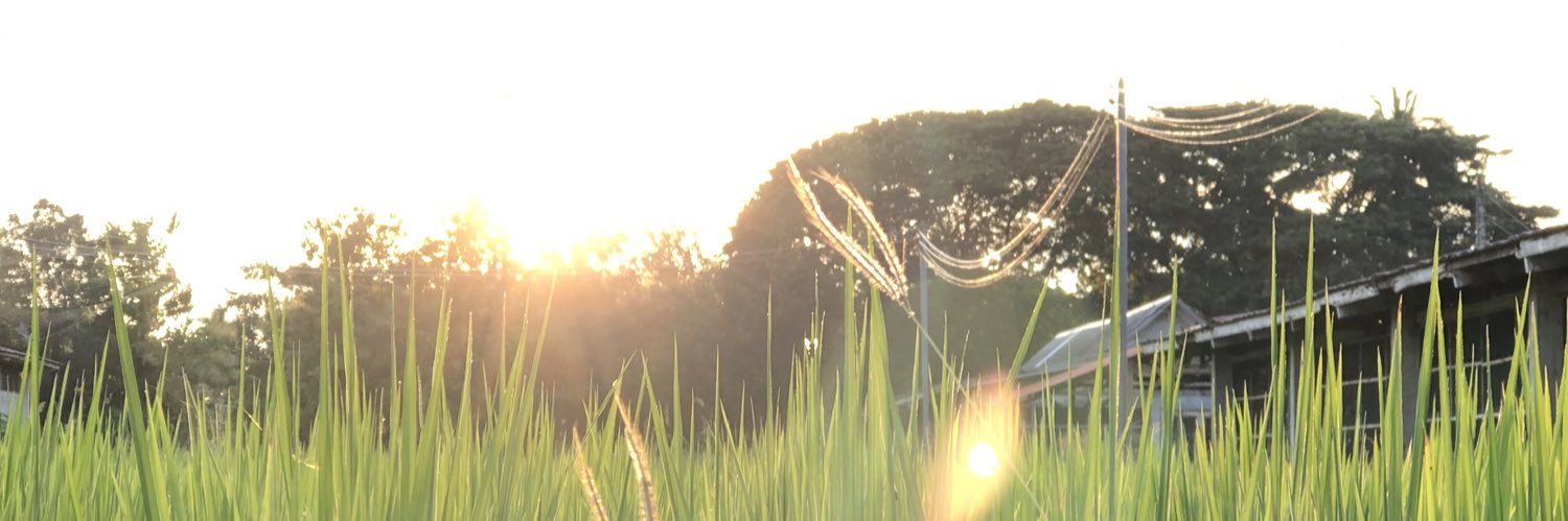 SUaggies's profile banner image