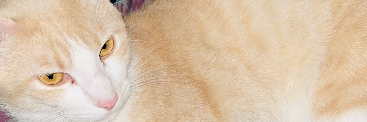 roberthlohan's profile banner image