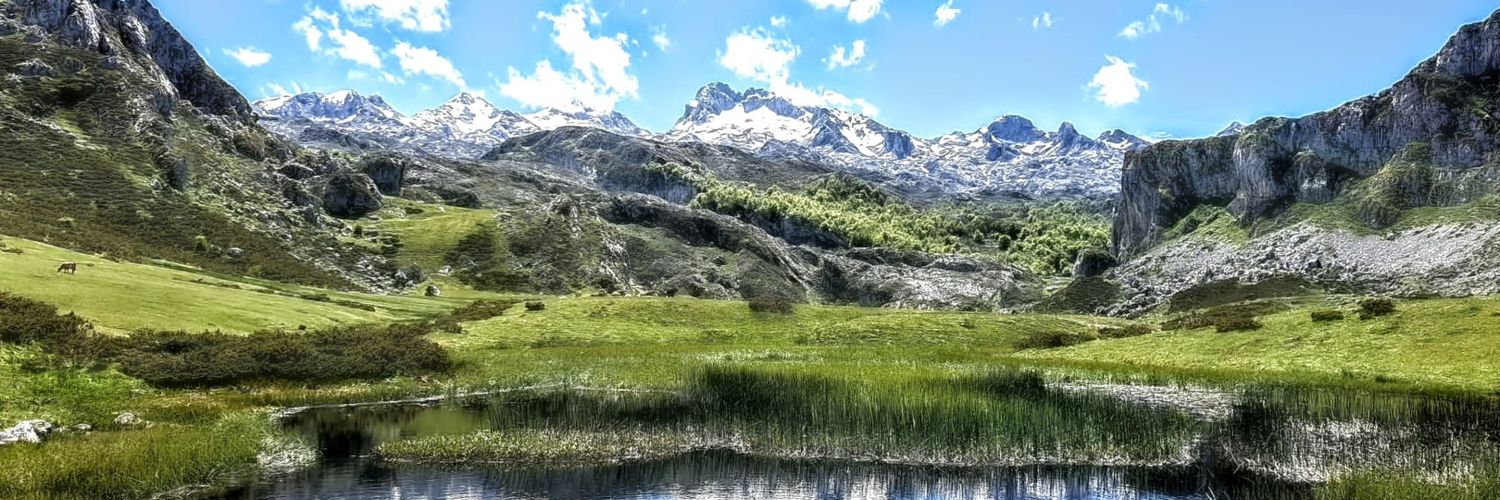 #ArkhamJokeTeam banner