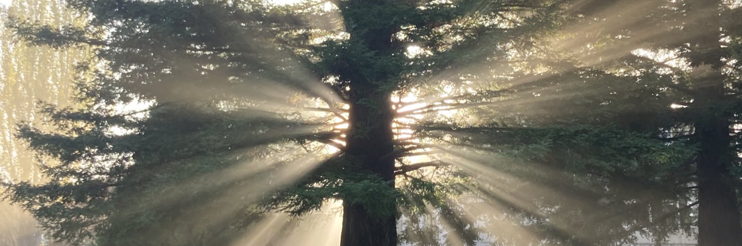 Agustín Larson Castillo banner