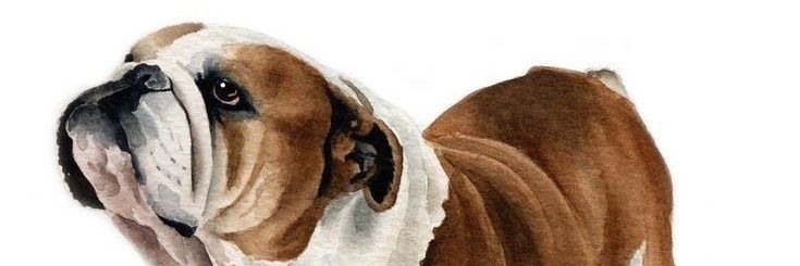 GrandeMarane's profile banner image