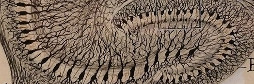 Jake Smith's banner