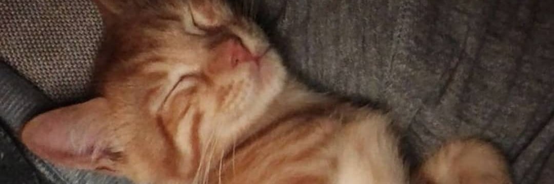 Rabiadrrms's profile banner image