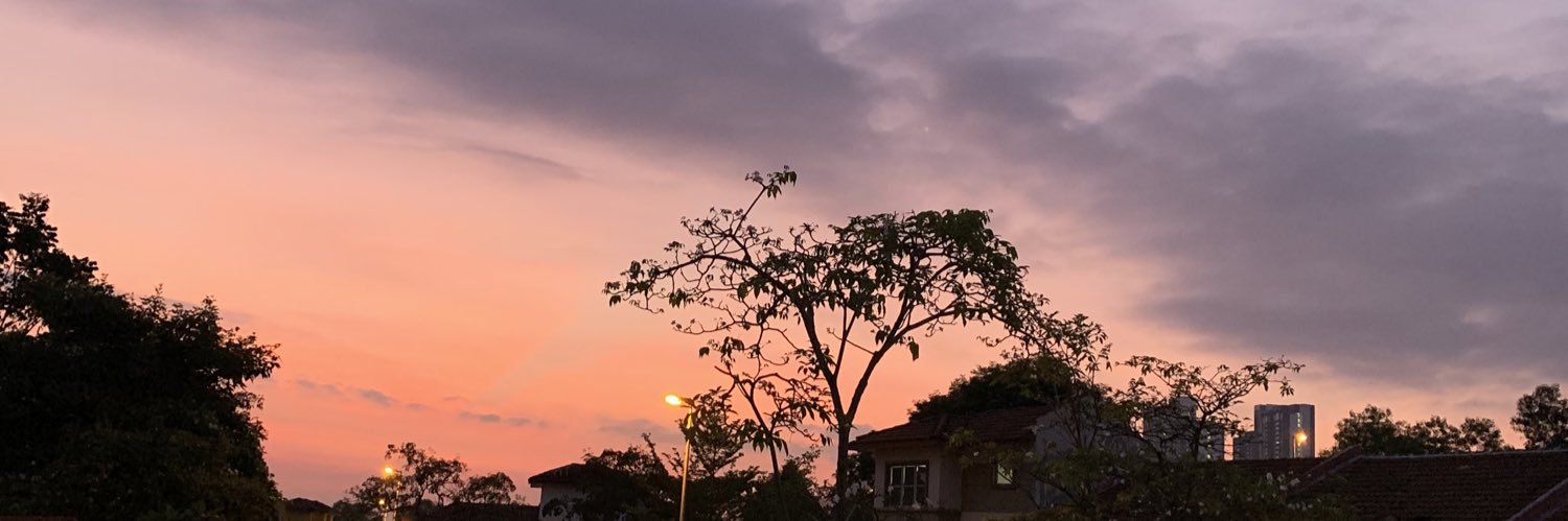 haeshwana's profile banner image
