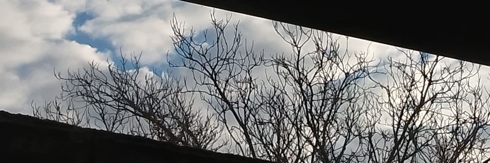 angelangulo810's profile banner image