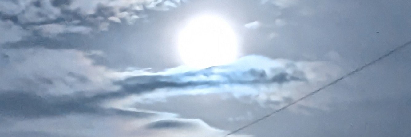 pocopoco2's profile banner image