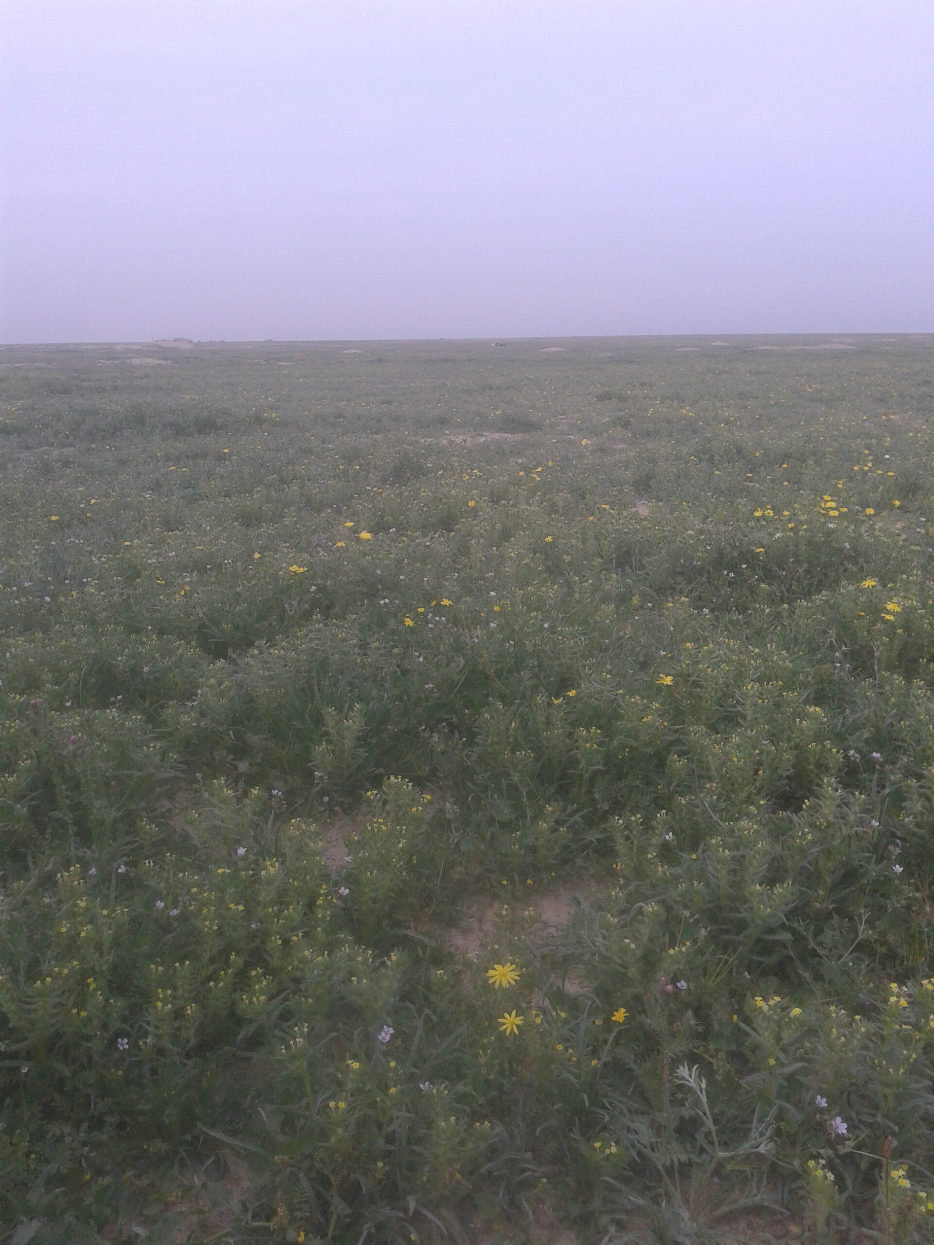 عبدالله العازمي banner