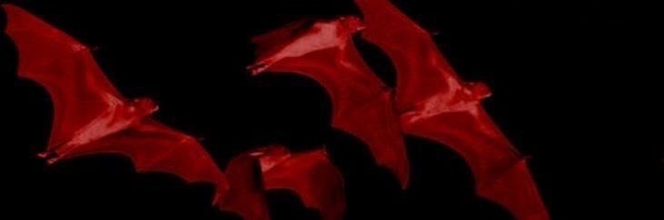 venus's banner