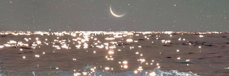 herbatka z cytrynką 🦎 // tdwp 2 era 👠 banner