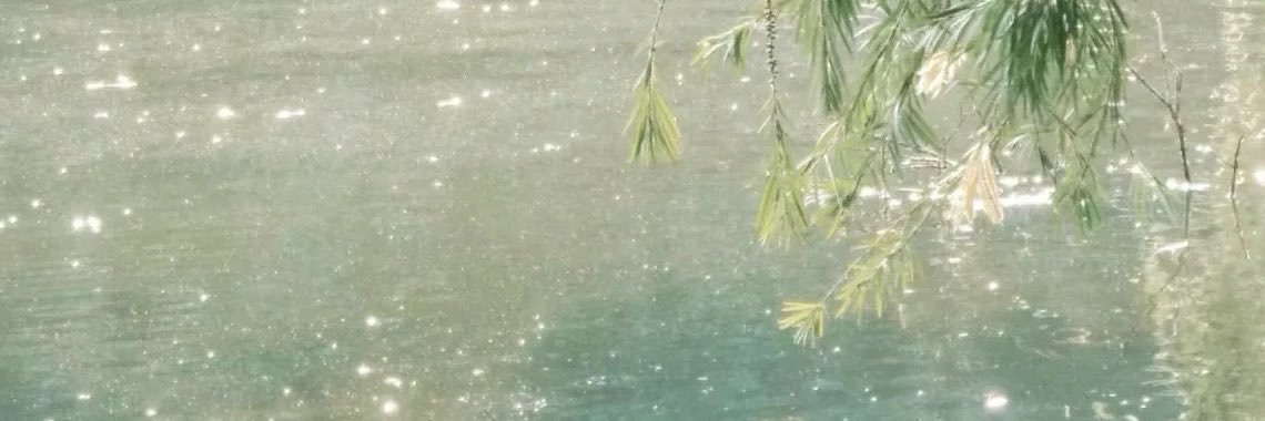murusagi's profile banner image