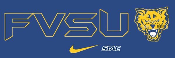 fvsusoftball Profile Banner