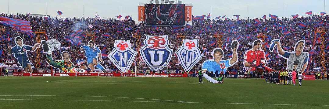 tojorgi banner