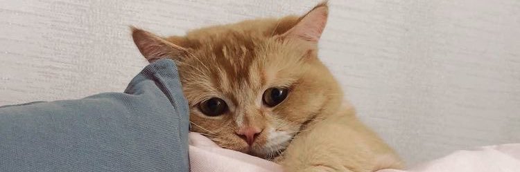 นอมอ. banner