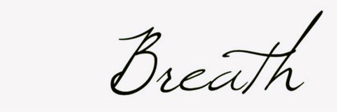 Judith Schoonhoven banner