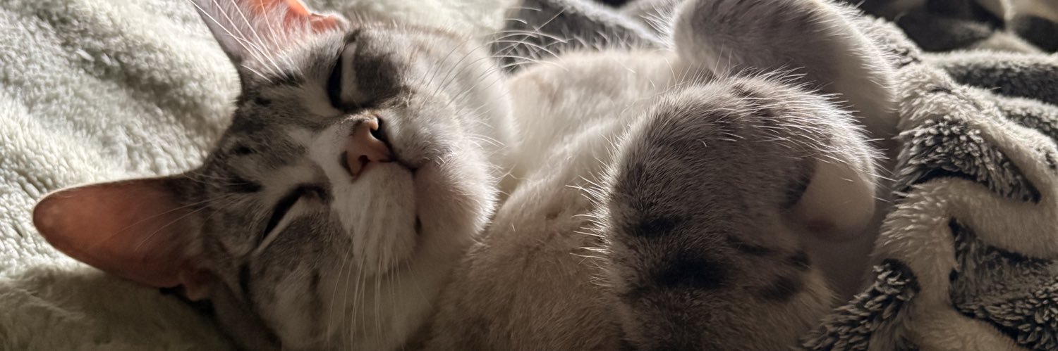 Deeess____'s profile banner image