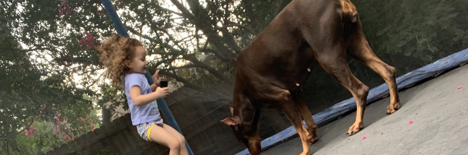 schaefermorgann's profile banner image