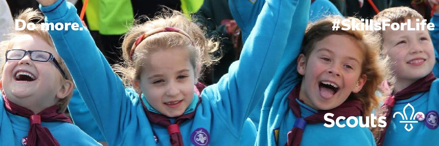 Greater London North Scouts banner