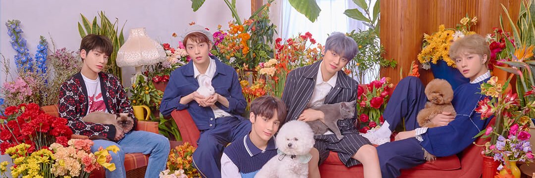 dream_BG's profile banner image