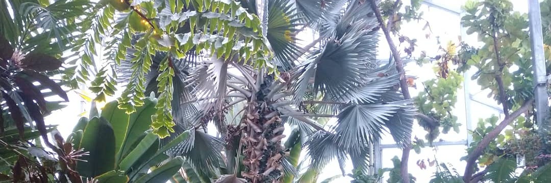 MaryellenKenney's profile banner image