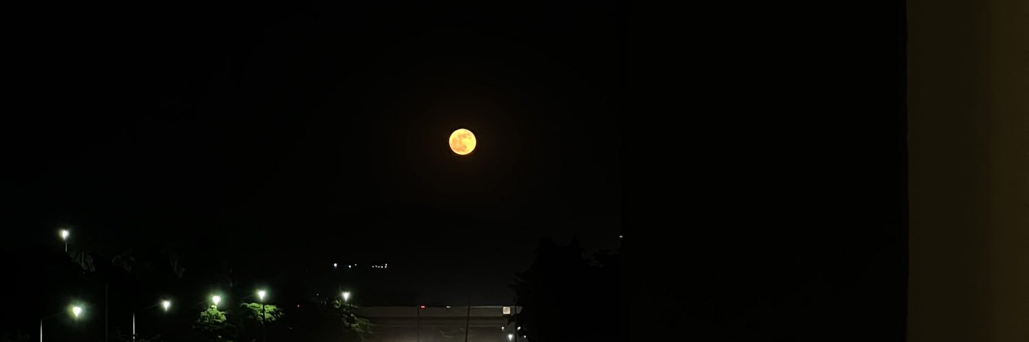 andreaui's profile banner image
