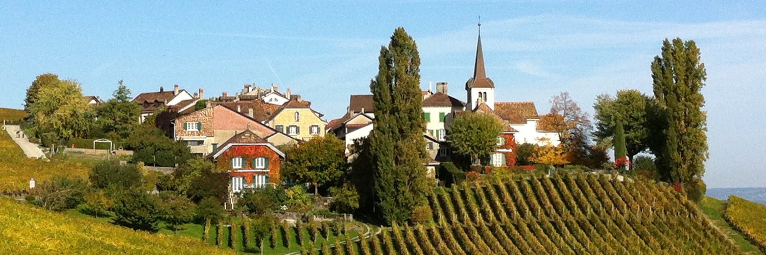 emaehl's profile banner image