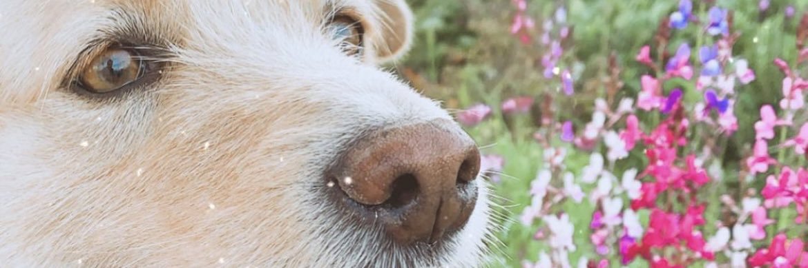 franlopezm's profile banner image