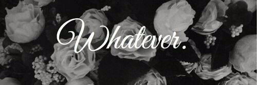 magda_centiu's profile banner image