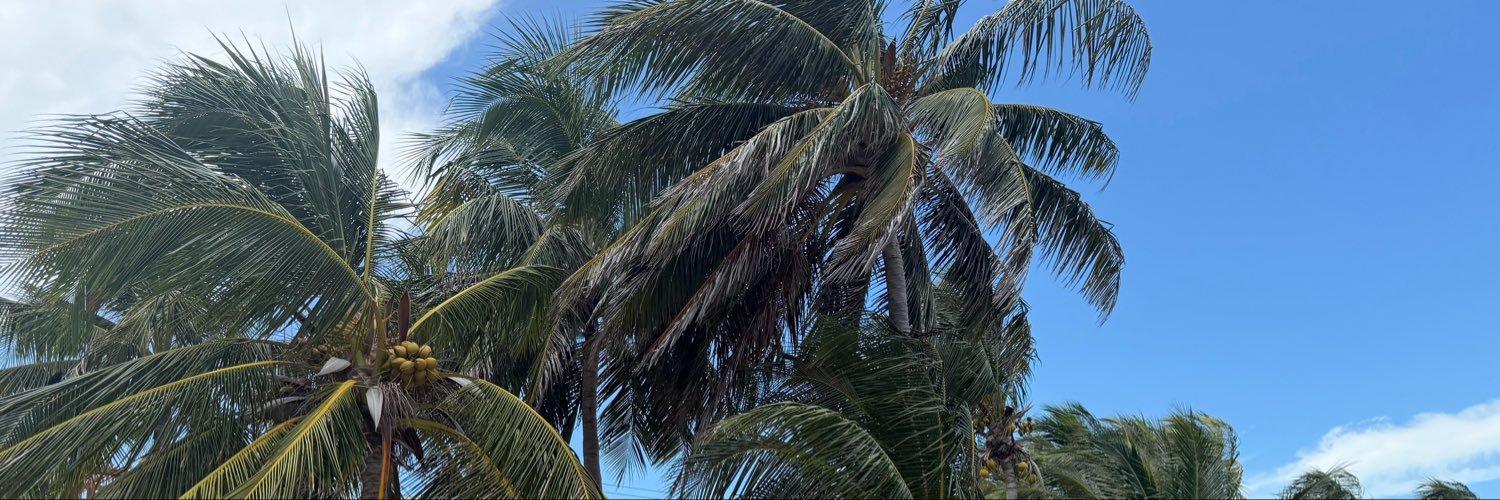 staccyuhbread's profile banner image