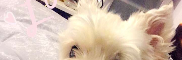 Suzybt66's profile banner image