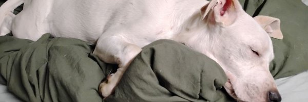 DorrellDana Profile Banner