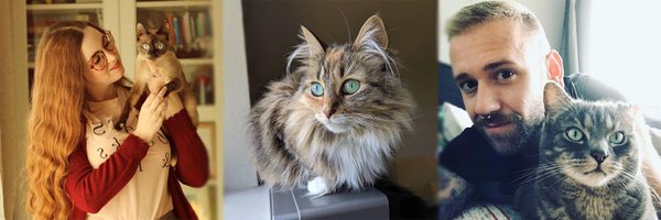 CatLoversCommu2 Profile Banner