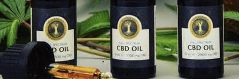 CbdDivergence's profile banner image
