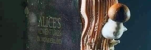jorgesche's profile banner image
