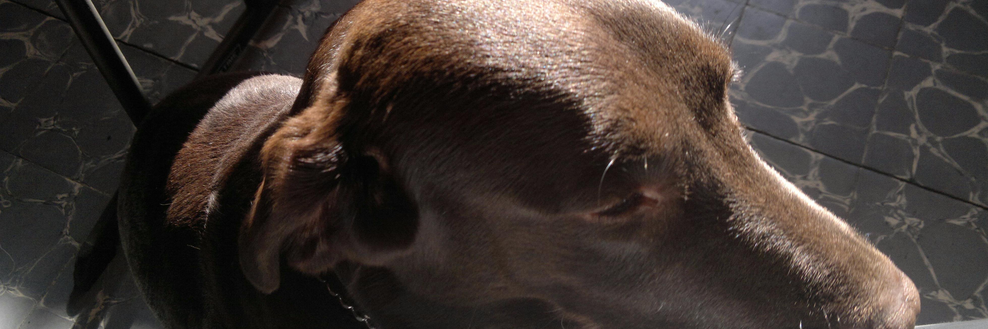 Ray_Gil's profile banner image
