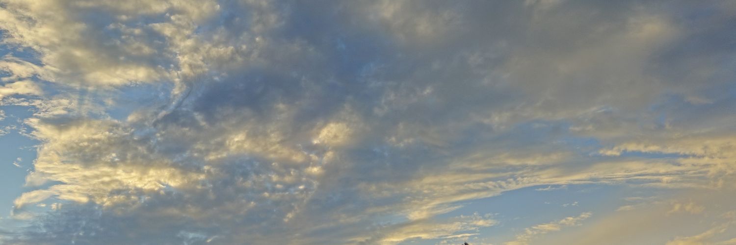 ffrancop's profile banner image