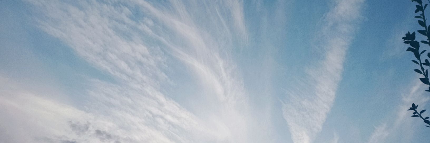 あずき@取引垢 banner